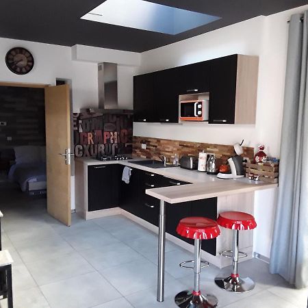 Joli 2 pièces esprit loft moderne Lejlighed Pau Eksteriør billede